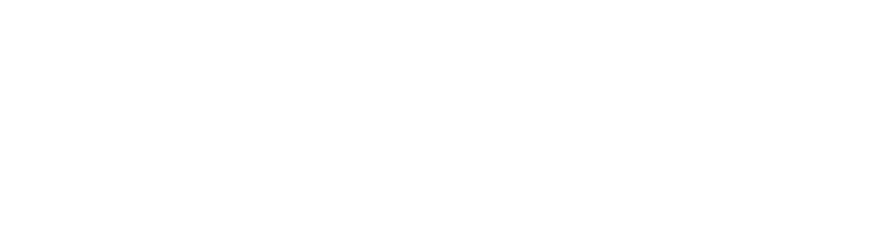 Logo White